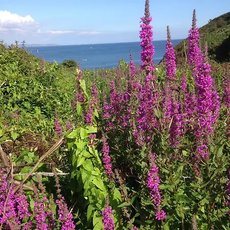Сasa de vacaciones Linton Luxury Mevagissey