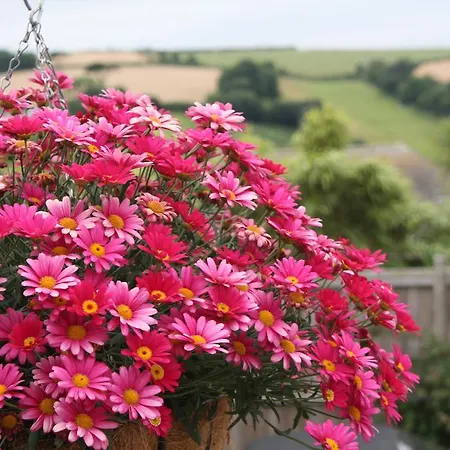 Linton Luxury Holiday home